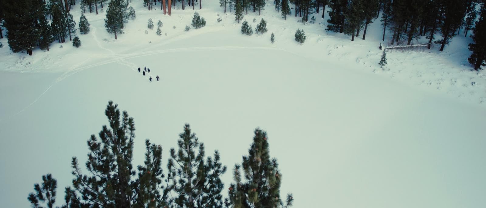 Road Scene 2