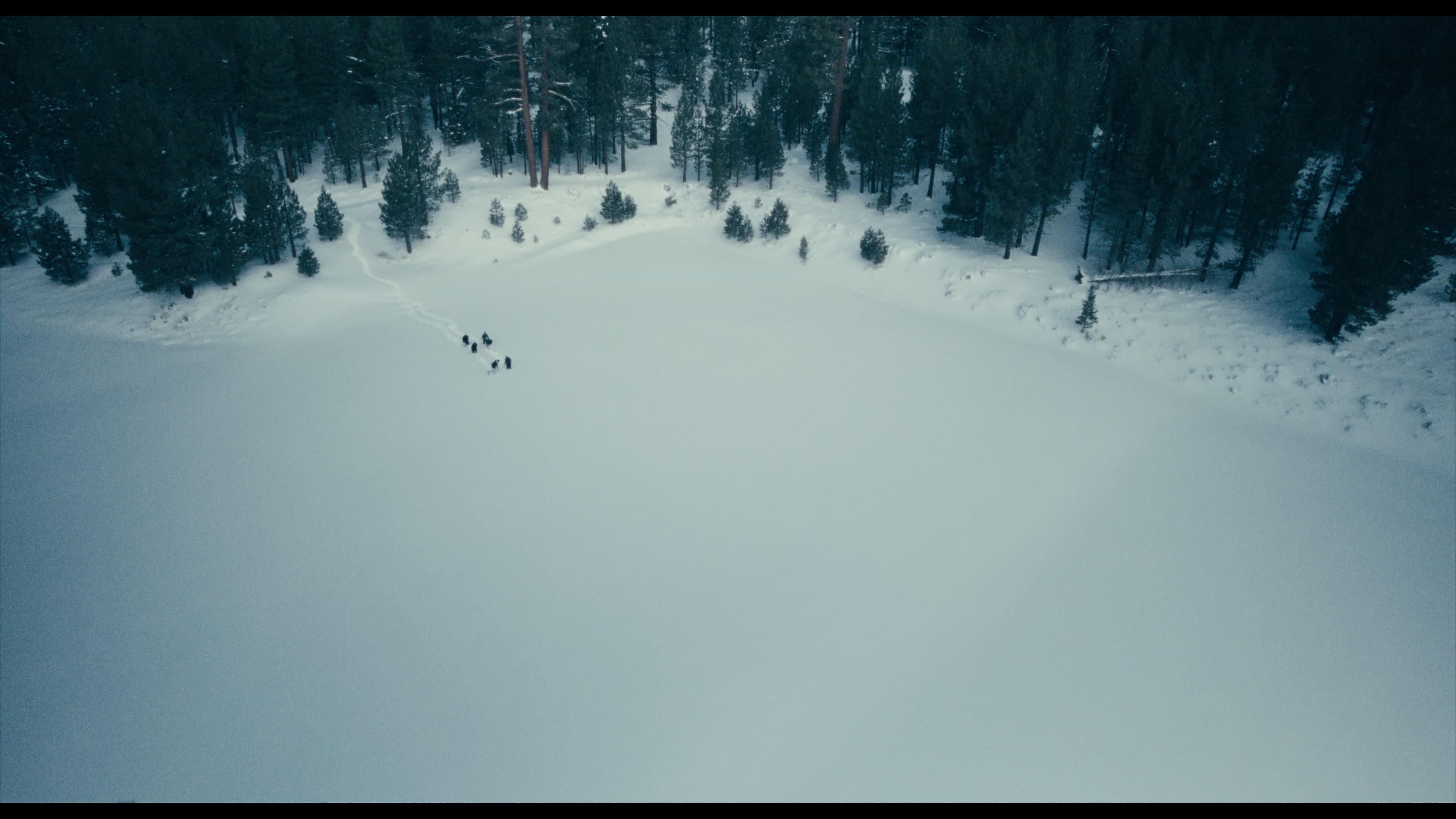 Road Scene 6